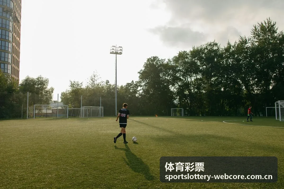 体育彩票玩法说明与票面信息阅读示意